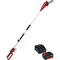 Cordless Pole Chain Saw with 4Ah Battery & Charger Starter Kit Auto-Cam