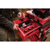 Divider for PACKOUT Drawer Tool Boxes Auto-Cam