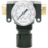 MODULAIR 200 Acetal Piston Regulator, 1/4" NPT, 150 PSI Max. PSI, In Line/Modular Auto-Cam