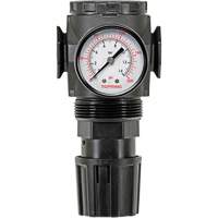 MODULAIR 300 Zinc Diaphragm Regulator, 3/8" NPT, 300 psi Max. PSI, In Line/Modular Auto-Cam