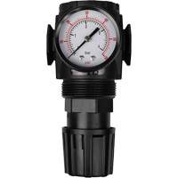 MODULAIR 300 Compressed Air Regulator, 1/2" NPT, 300 psi Max. PSI, In Line/Modular Auto-Cam