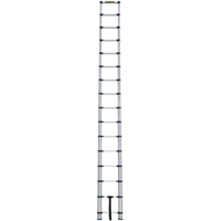 Telescopic Ladder, 3' - 15.5', Aluminum, 250 lbs. Capacity, Type 1 VC252 | Auto-Cam