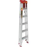 Step Ladder with Paint Tray, 6', Aluminum, 200 lbs. Capacity, Type 3 Auto-Cam