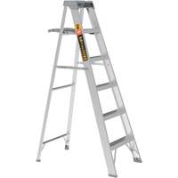 Step Ladder with Paint Tray, 6', Aluminum, 225 lbs. Capacity, Type 2 Auto-Cam