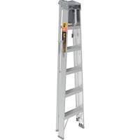 Step Ladder with Paint Tray, 6', Aluminum, 225 lbs. Capacity, Type 2 Auto-Cam