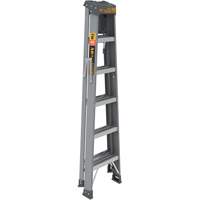 Step Ladder with Paint Tray, 6', Fibreglass, 225 lbs. Capacity, Type 2 Auto-Cam