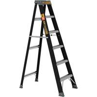 Step Ladder, 6', Fibreglass, 250 lbs. Capacity, Type 1 Auto-Cam