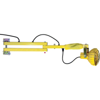 Lampes avec bras flexible pour quais, Ampoule Incandescente, Bras 60" XC461 | Auto-Cam