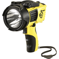 Waypoint<sup>®</sup> Pistol Grip Spotlights, LED, 550 Lumens, C Batteries XC764 | Auto-Cam