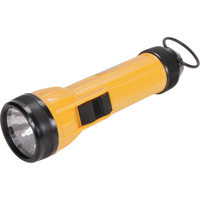 Lampe de poche AFL100, DEL, 35 lumens, Piles D Auto-Cam