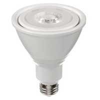 LED Bulb, PAR30, 10 W, 800 Lumens, Medium Base XE485 | Auto-Cam