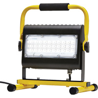 Flood Light, LED, 50 W, 4800 Lumens, Aluminum Housing Auto-Cam