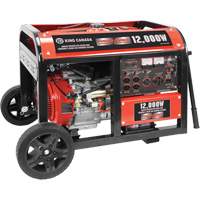 Electric Start Gas Generator with Wheel Kit, 12000 W Surge, 9000 W Rated, 120 V/240 V, 31 L Tank Auto-Cam