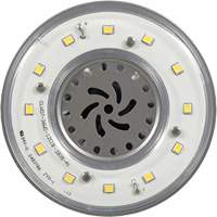 Ultra LED™ High Lumen Lamp, HID, 36 W, 4800 Lumens, Mogul Base XI556 | Auto-Cam