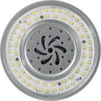 Lampe haute luminosité Ultra LED<sup>MC</sup>, DHI, 80 W, 10800 lumens, base Mogul XI562 | Auto-Cam
