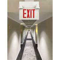 Exit Sign with Security Lights, LED, Battery Operated/Hardwired, 12-1/10" L x 11" W, English XI789 | Auto-Cam