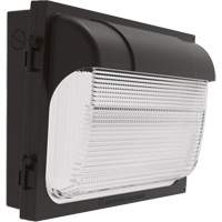 TWX Wall Luminaire, LED, 480 V, 9 W - 54 W, 14" H x 18" W x 5" D XI974 | Auto-Cam
