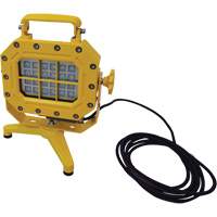 Explosion Proof Floodlight with Stand, LED, 40 W, 5600 Lumens, Aluminum Housing XJ040 | Auto-Cam