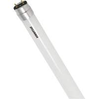 SubstiTUBE<sup>®</sup> Frosted Glass LED Bulb, 12 W, T8, 5000 K, 48" L XJ097 | Auto-Cam