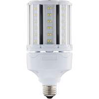Ampoule HID de remplacement sélectionnable ULTRA LED<sup>MC</sup>, E26, 18 W, 2700 lumens XJ275 | Auto-Cam
