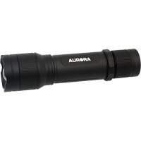 IP67 Flashlight, LED, 2000 Lumens, Rechargeable Batteries Auto-Cam