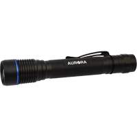 IPX7 Flashlight, LED, 250 Lumens, AA Batteries Auto-Cam